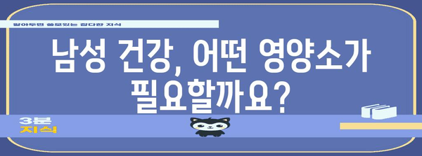 남성 영양제 선택 가이드 | 필수 비타민과 추천 제품