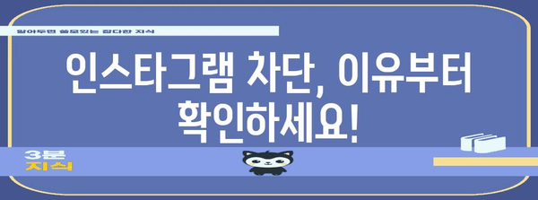 차단된 인스타그램 활동 복구 가이드 | 스텝 바이 스텝