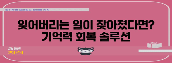 기억력 건강 관리를 위한 필수 팁 | 예방과 향상의 비결