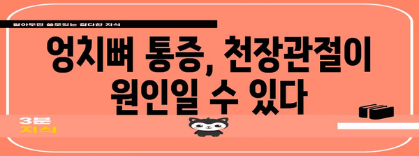 천장관절증후군 | 엉치뼈 통증의 숨겨진 원인 밝히기