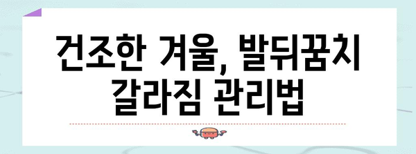 겨울철 발뒤꿈치 갈라짐 해결 가이드 | 원인, 관리, 치료