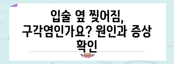 구각염 완치까지 가는 길 | 입술 옆 찢어짐 치료 연고 완벽 가이드