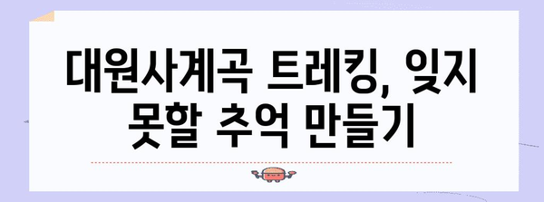 대원사계곡 트레킹 가이드 | 숨겨진 비경과 힐링 향기