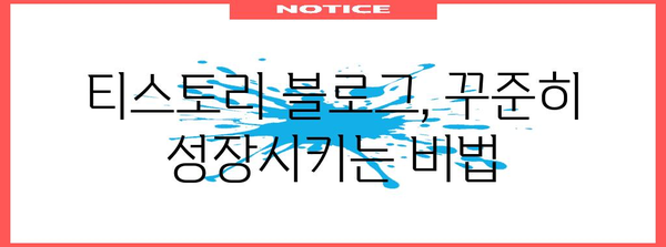 티스토리 블로거 성공 전략 1편