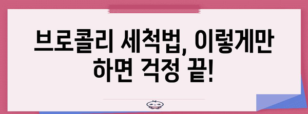 브로콜리 잔류농약 제거법 | 올바른 세척법으로 건강하게 즐겨보자