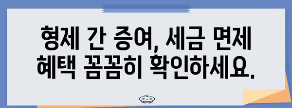 형제 간 증여 세금 고민 해결책 | 세율, 면제, 절세 탐구