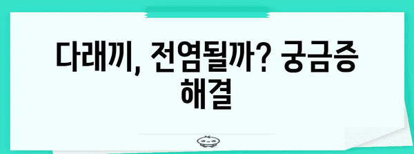 눈 건강 가이드 | 다래끼 관리, 감염 예방, 전파 가능성 파악