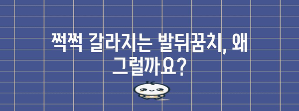 겨울철 발뒤꿈치 갈라짐 해결 가이드 | 원인, 관리, 치료