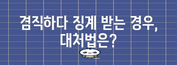 공무원 겸직 투잡 징계 기준 | 허용 가능 범위와 대응법