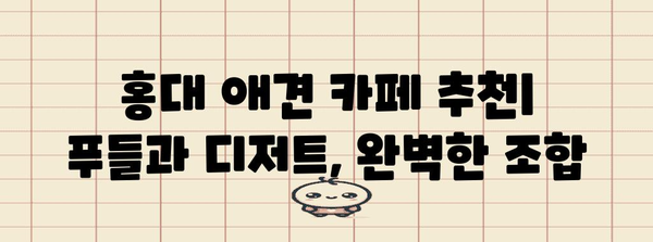 푸들과 디저트 탐험 | 홍대 애견 카페 베스트 5