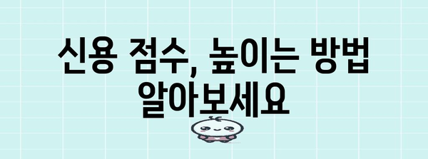 신용 점수 800점 달성하기 | 5가지 필수 방법