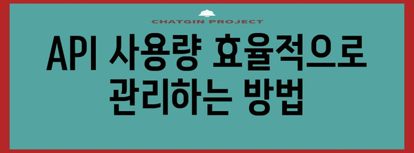 API 할당량 초과 오류 | 23번 문제 해결 가이드