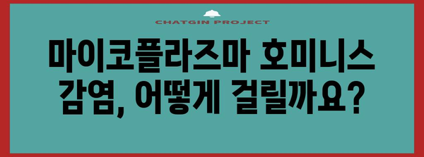 마이코플라즈마 호미니스 감염 주의! 중증 합병증 및 대처 가이드