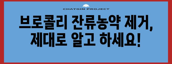 브로콜리 잔류농약 제거법 | 올바른 세척법으로 건강하게 즐겨보자