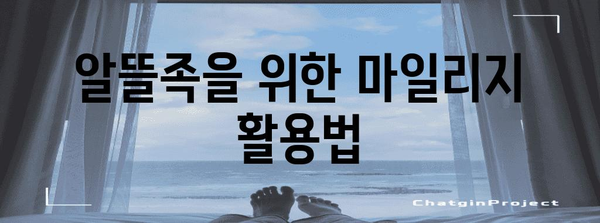 마일리지 꿀팁 | 교통비 아낄 줄 알면 개꿀!