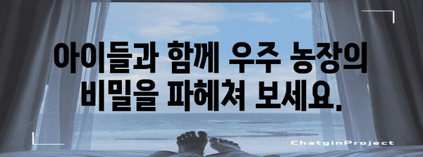 스페이스 팜 가이드 | 아이들과 즐거운 시간 보낼 수 있는 놀거리