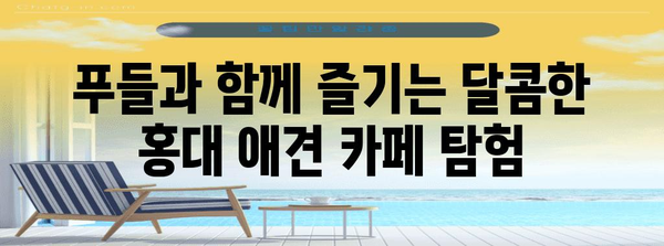 푸들과 디저트 탐험 | 홍대 애견 카페 베스트 5