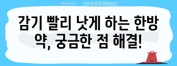 감기에 바이바이! 증상 해결을 위한 한방 약 소개