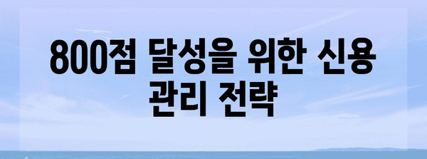 신용 점수 800점 달성하기 | 5가지 필수 방법