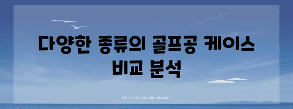 골프공 케이스 추천 가이드, 편리한 보관 솔루션