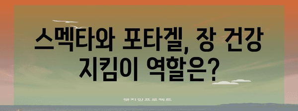 장내 건강 관리 | 스멕타, 포타겔 효능과 부작용