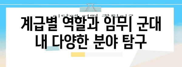 군대 계급 체계 완벽 정리| 계급별 권한과 역할 | 군대, 계급, 계급 체계, 군인, 군사