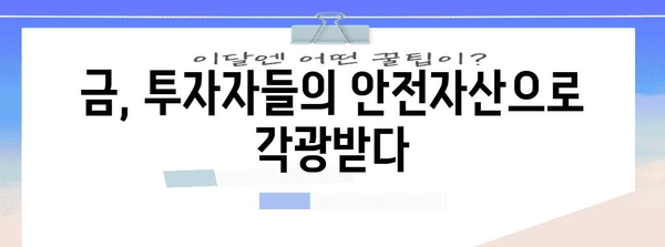 금시세 상승 이유와 향후 전망