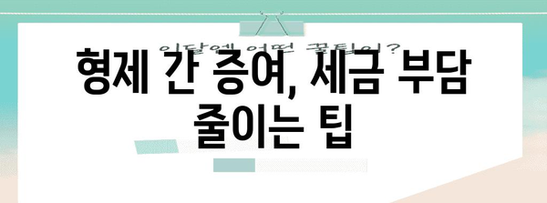 형제 간 증여 시 절세 꿀팁