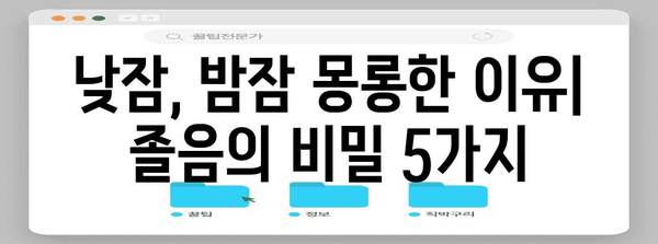 졸음의 원인 5가지 | 자도자도 졸리는 까닭