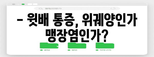 위궤양과 맹장염 | 윗배 통증의 원인 파악