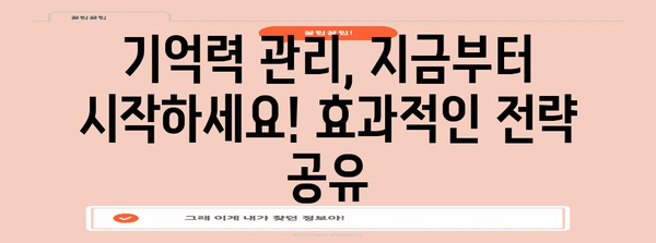 기억력 건강 관리를 위한 필수 팁 | 예방과 향상의 비결