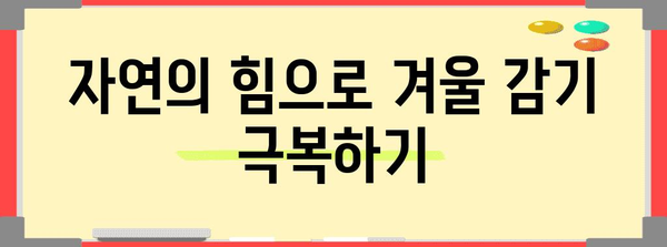 졸림 없이 겨울 감기를 이기는 방법 | 자연 요법 가이드