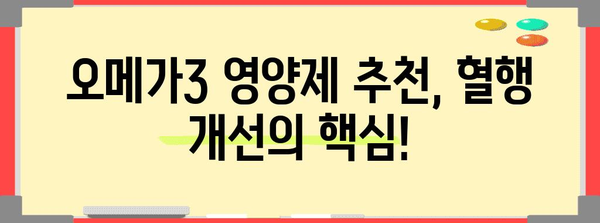 오메가3 풍부한 영양제 추천 | 혈행 개선의 핵심