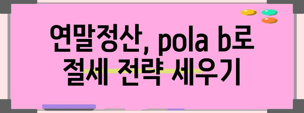 연말정산 pola b 완벽 가이드 | 연말정산, pola b, 소득공제, 세금 환급, 절세 팁