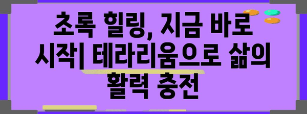 테라리움으로 작업 공간의 생기를 업그레이드하기