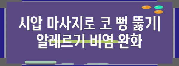 천연 시압 요법으로 알레르기성 코막힘 해소