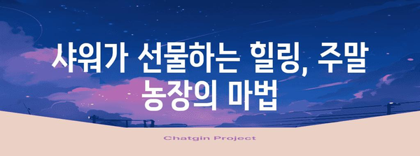 주말 농장 샤워로 피로 날리기 | 에너지 충전 꿀팁