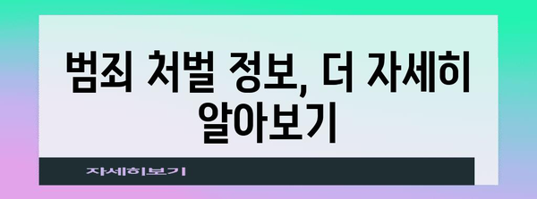 범죄 유형별 처벌 확인 방법 가이드