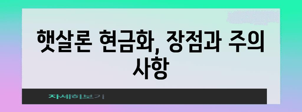 햇살 론 신용카드 현금화 비법 공개