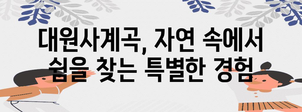 대원사계곡 트레킹 가이드 | 숨겨진 비경과 힐링 향기