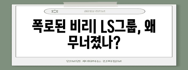 LS그룹 폐업 | 숨은 비리의 폭로