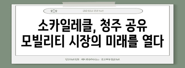 카풀 서비스 소카일레클 | 청주 입성과 공유 모빌리티의 미래