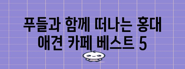 푸들과 디저트 탐험 | 홍대 애견 카페 베스트 5