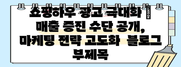 쇼핑하우 광고 극대화 | 매출 증진 수단 공개, 마케팅 전략 고도화