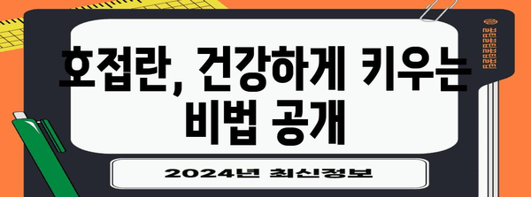 호접란 키우기 완벽 가이드 | 집안 분위기를 활기찬 꽃으로 빛내자