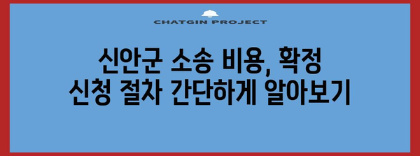 신안군 소송비용 확정 신청 가이드 | 단순한 절차 완료