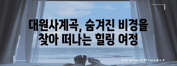 대원사계곡 트레킹 가이드 | 숨겨진 비경과 힐링 향기