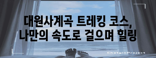 대원사계곡 트레킹 가이드 | 숨겨진 비경과 힐링 향기