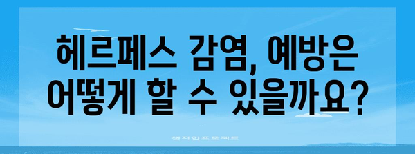 여성 헤르페스 유형 구별 가이드 | 증상과 예방법 파헤치기