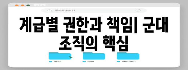 군대 계급 체계 완벽 정리| 계급별 권한과 역할 | 군대, 계급, 계급 체계, 군인, 군사